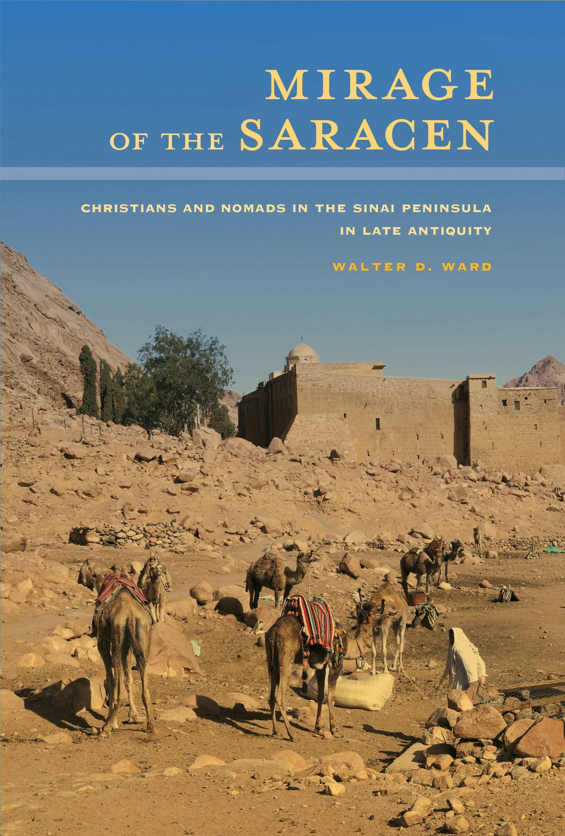 Book cover image for Mirage of the Saracen ISBN: 9780520959521